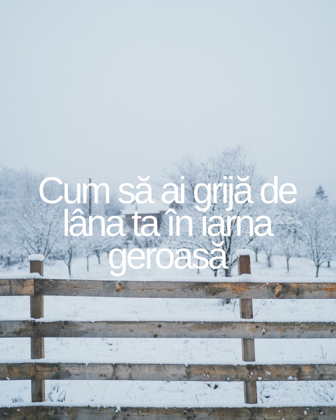 Magia gerului pentru lâna ta