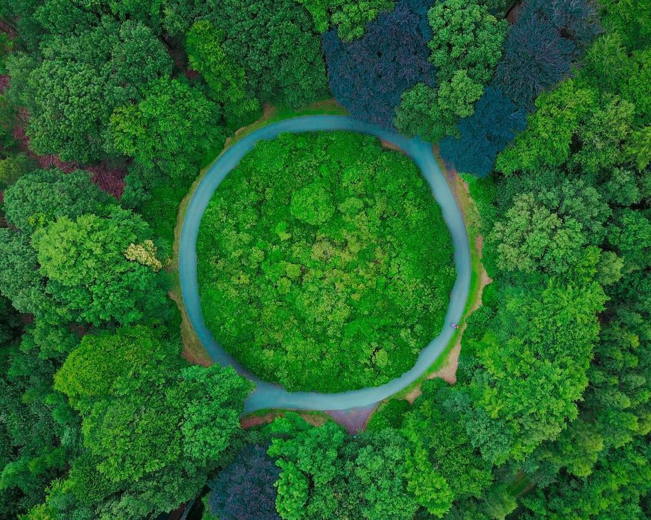 Lecția de sustenabilitate - cumpără mai puțin, repară mai mult-HipHip.ro