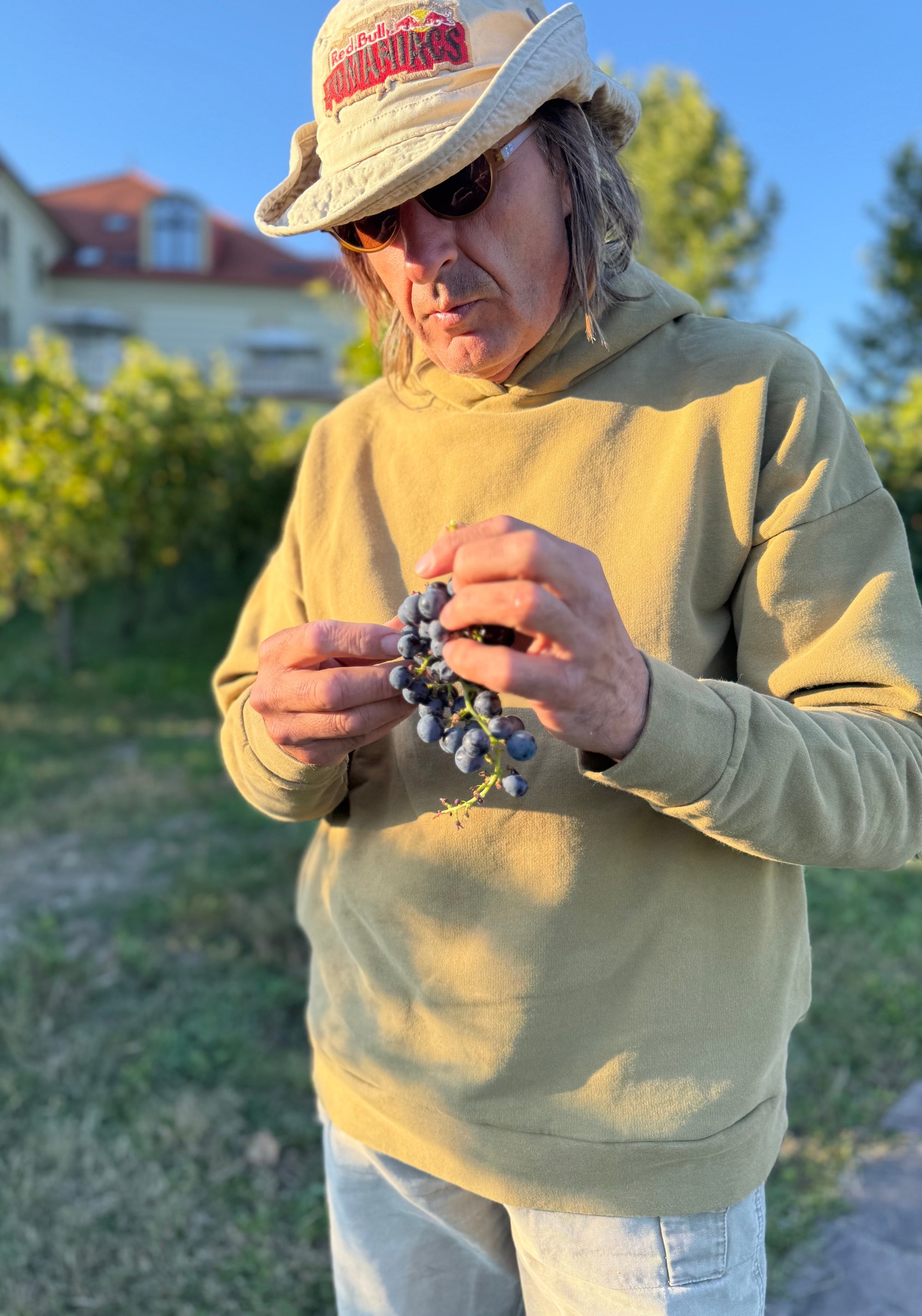 Hanorac adulți molton din bumbac - Sueter Dull Gold