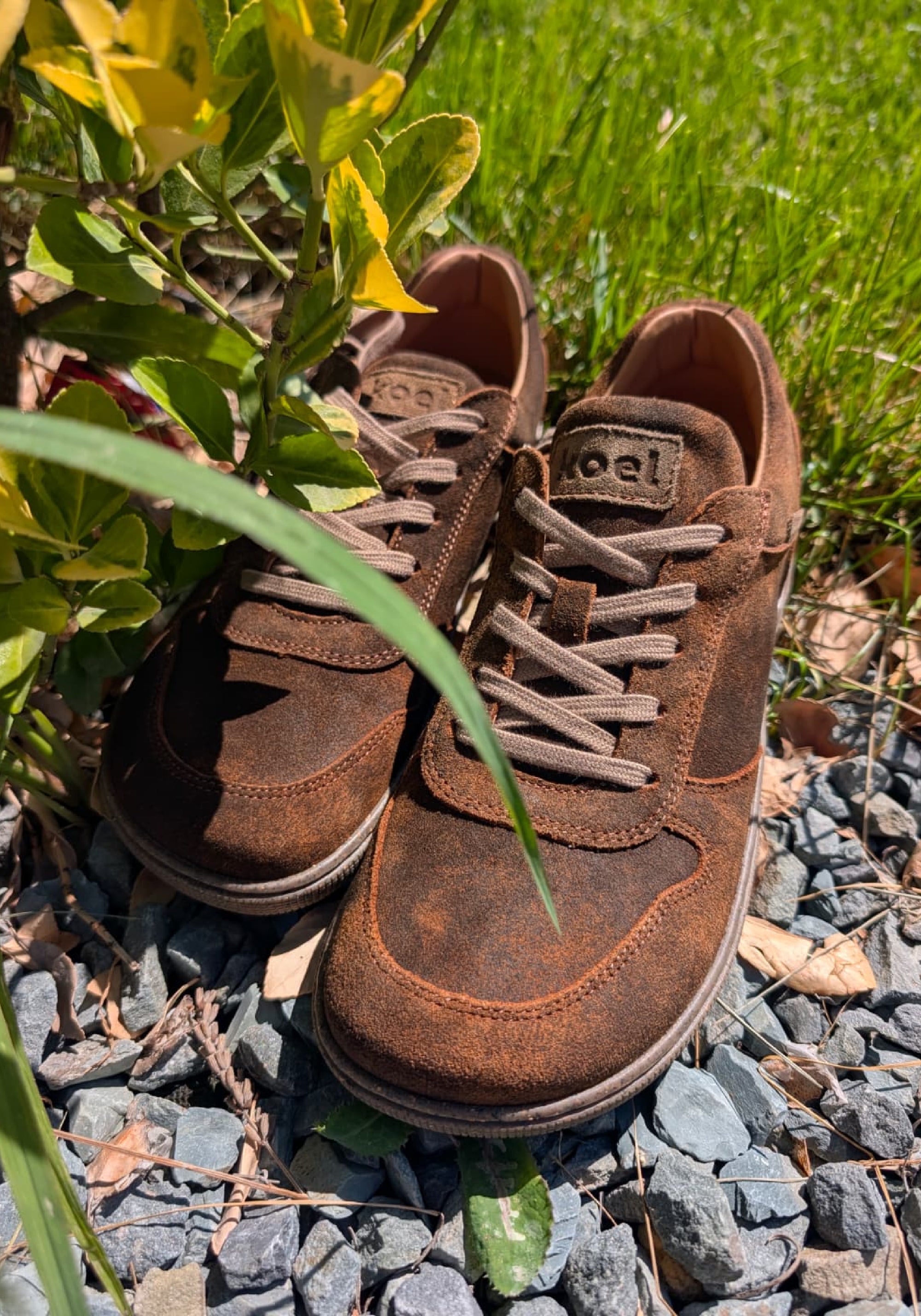 Sneakers Barefoot din piele întoarsă - Francie Cognac