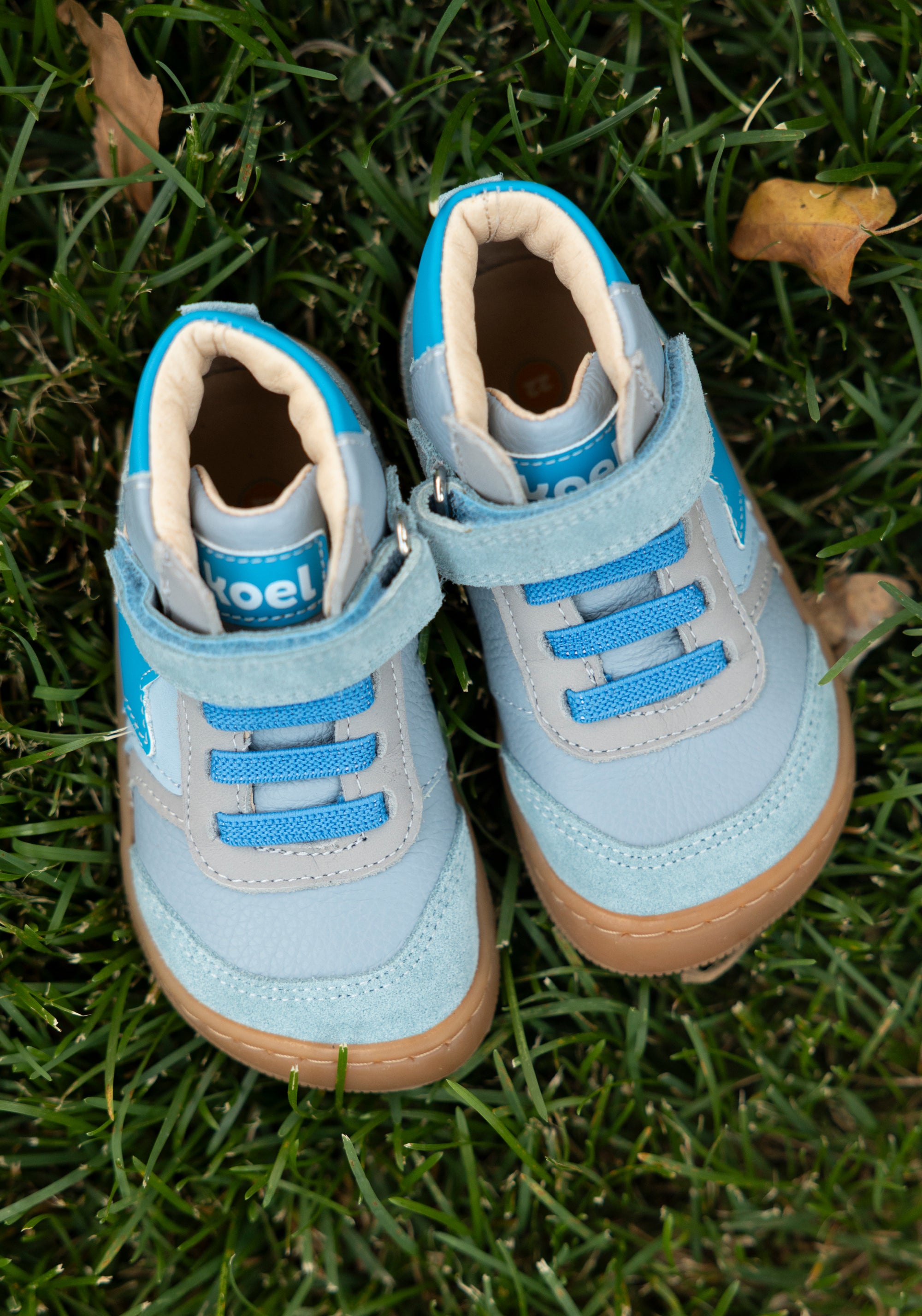 Sneakers Barefoot Wide din piele - Daro Turquoise