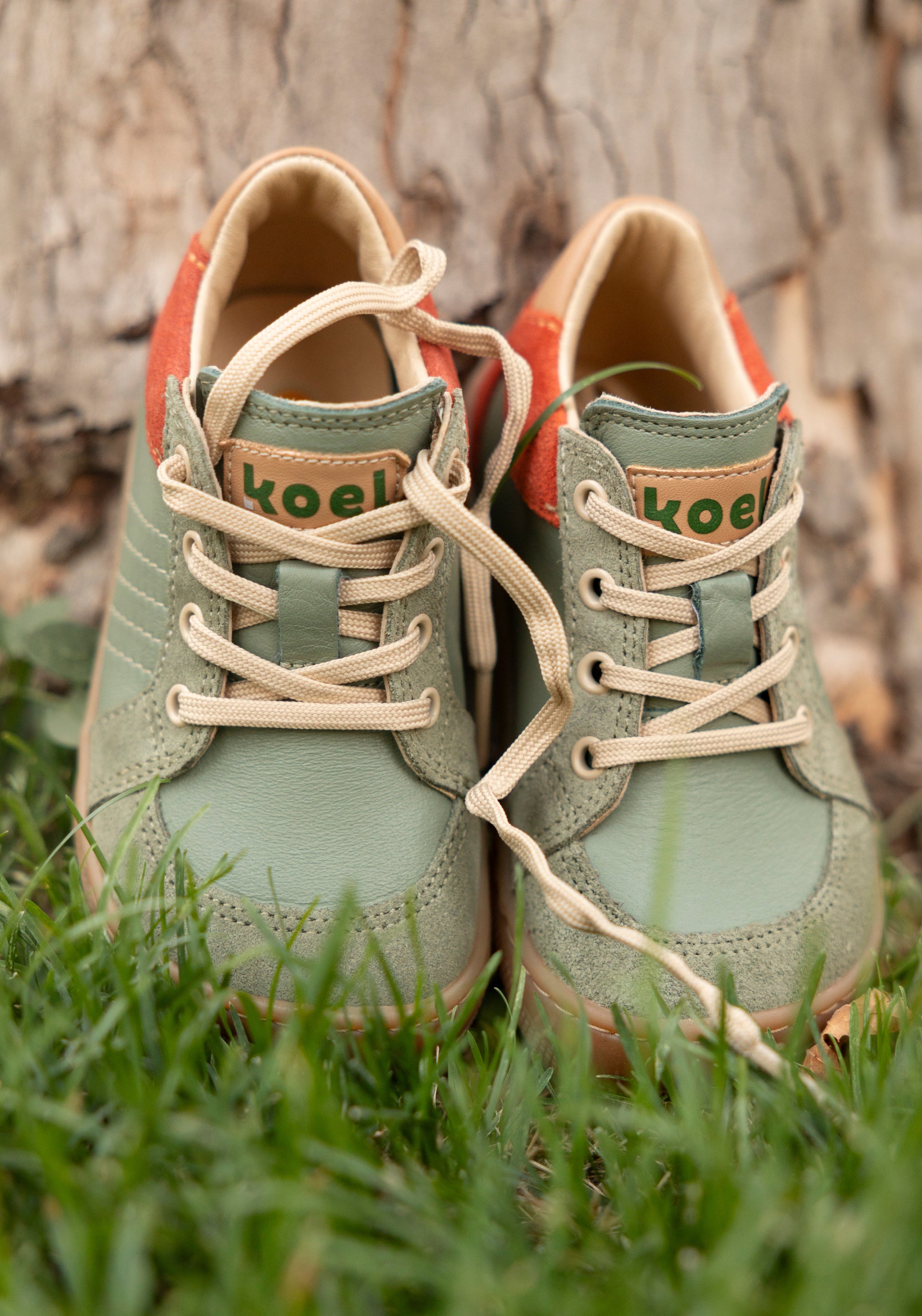 Sneakers Barefoot din piele - Dion Olive
