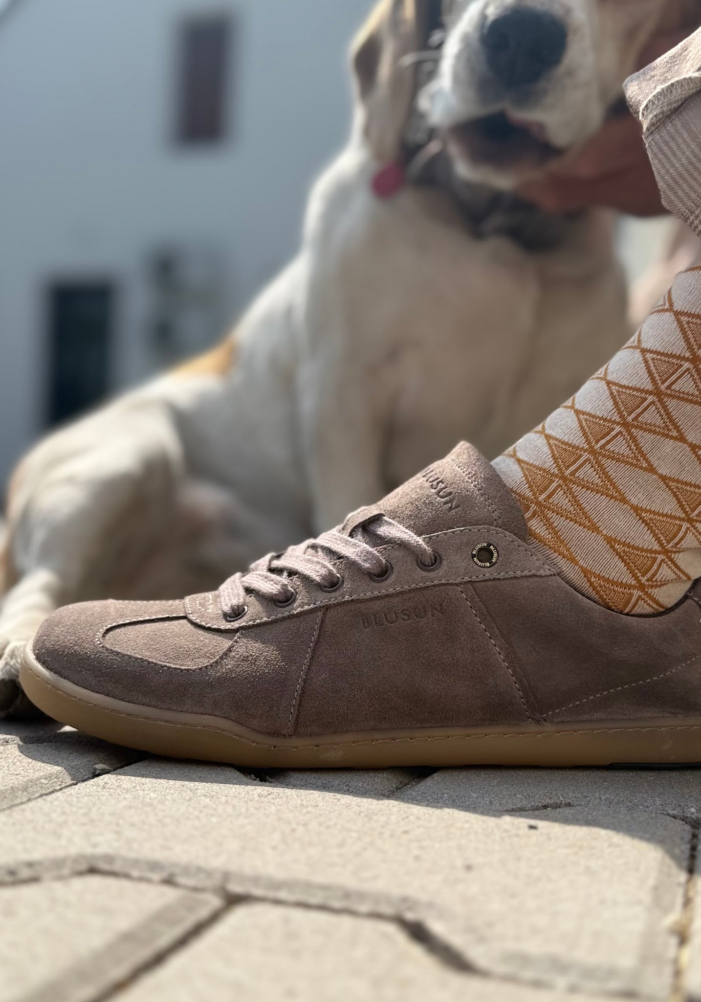 Sneakers Barefoot din piele întoarsă - Dark Coffee Brown