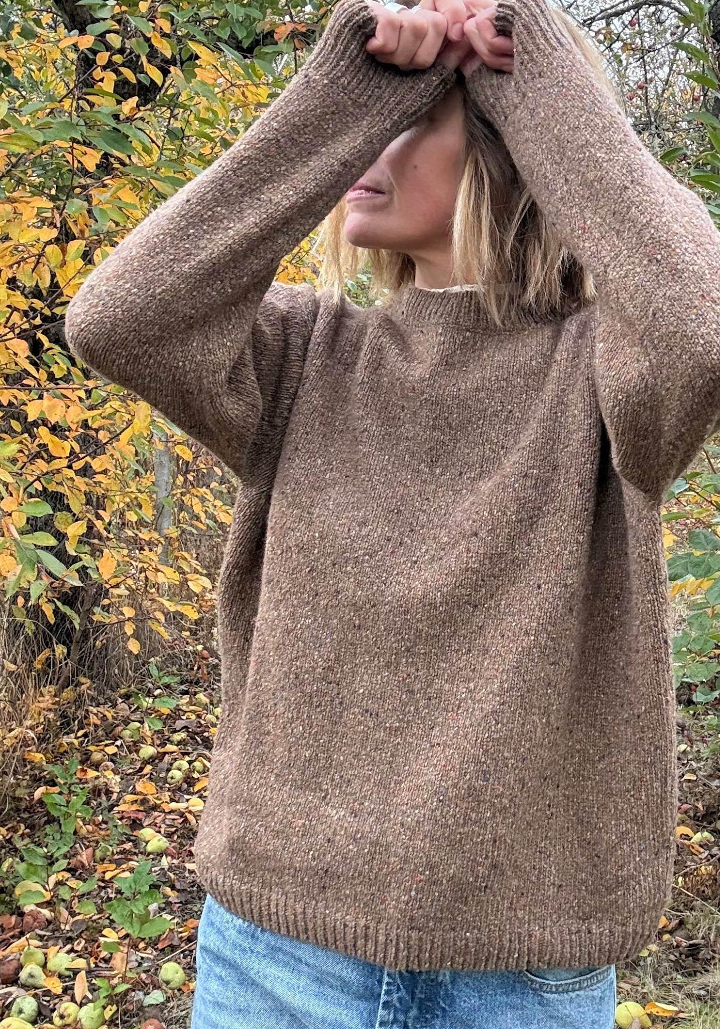 Pulover din lână - The Speckled Brown