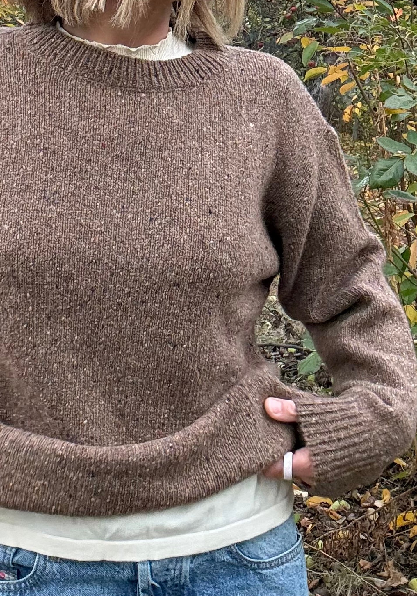 Pulover din lână - The Speckled Brown