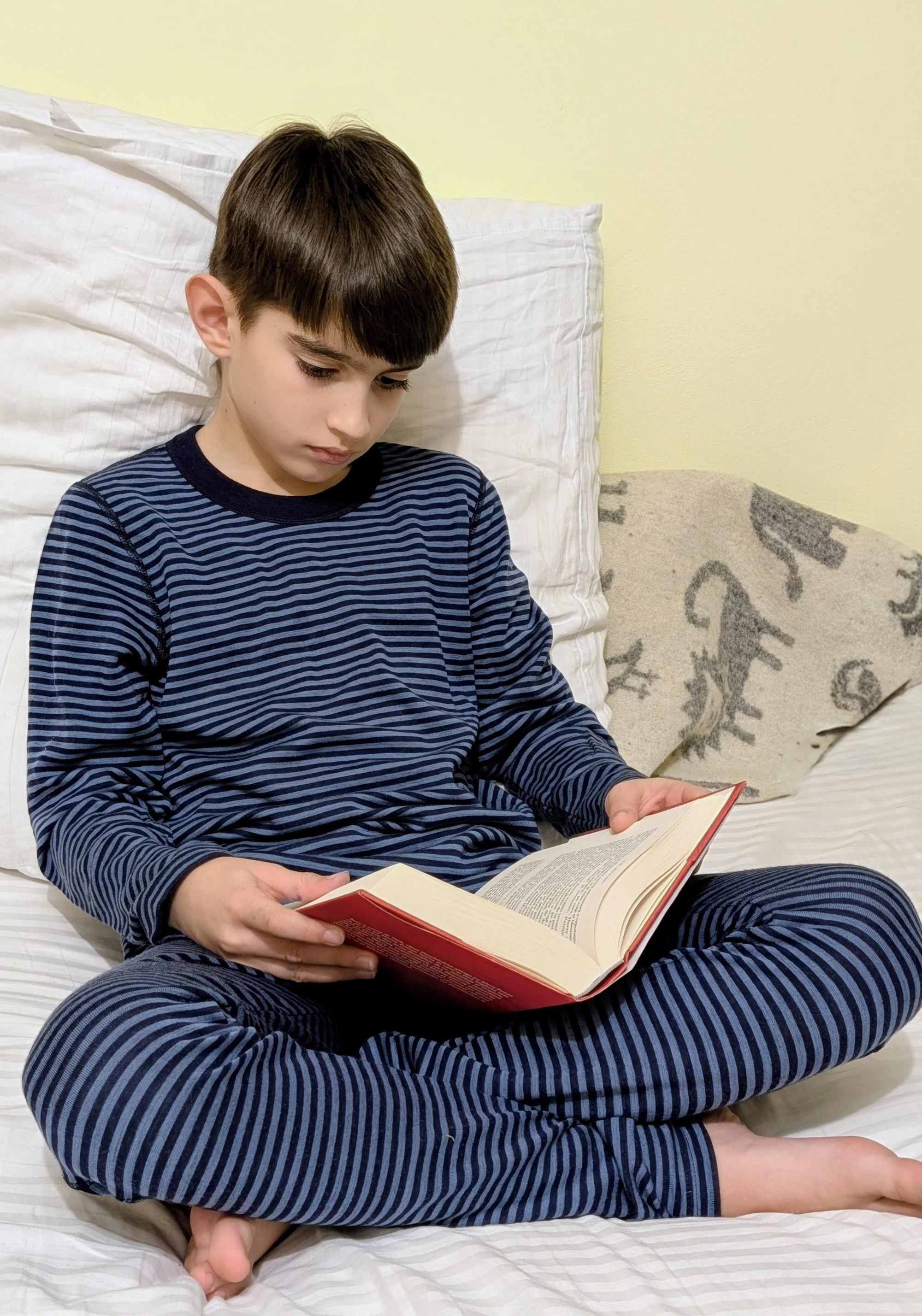 Bluză lână merinos - Mini Stripe Blue