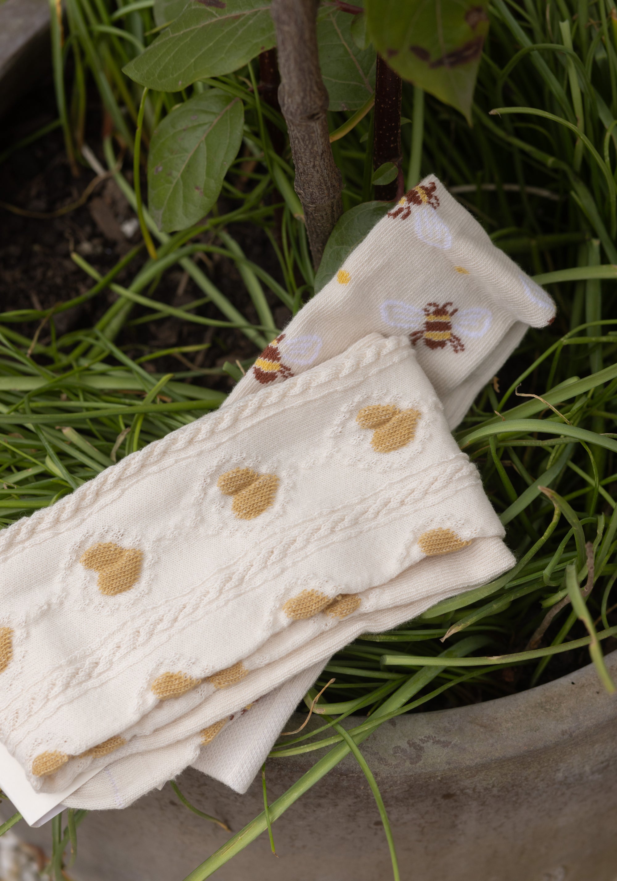 Dres Plain din bumbac - Beatrice Cream