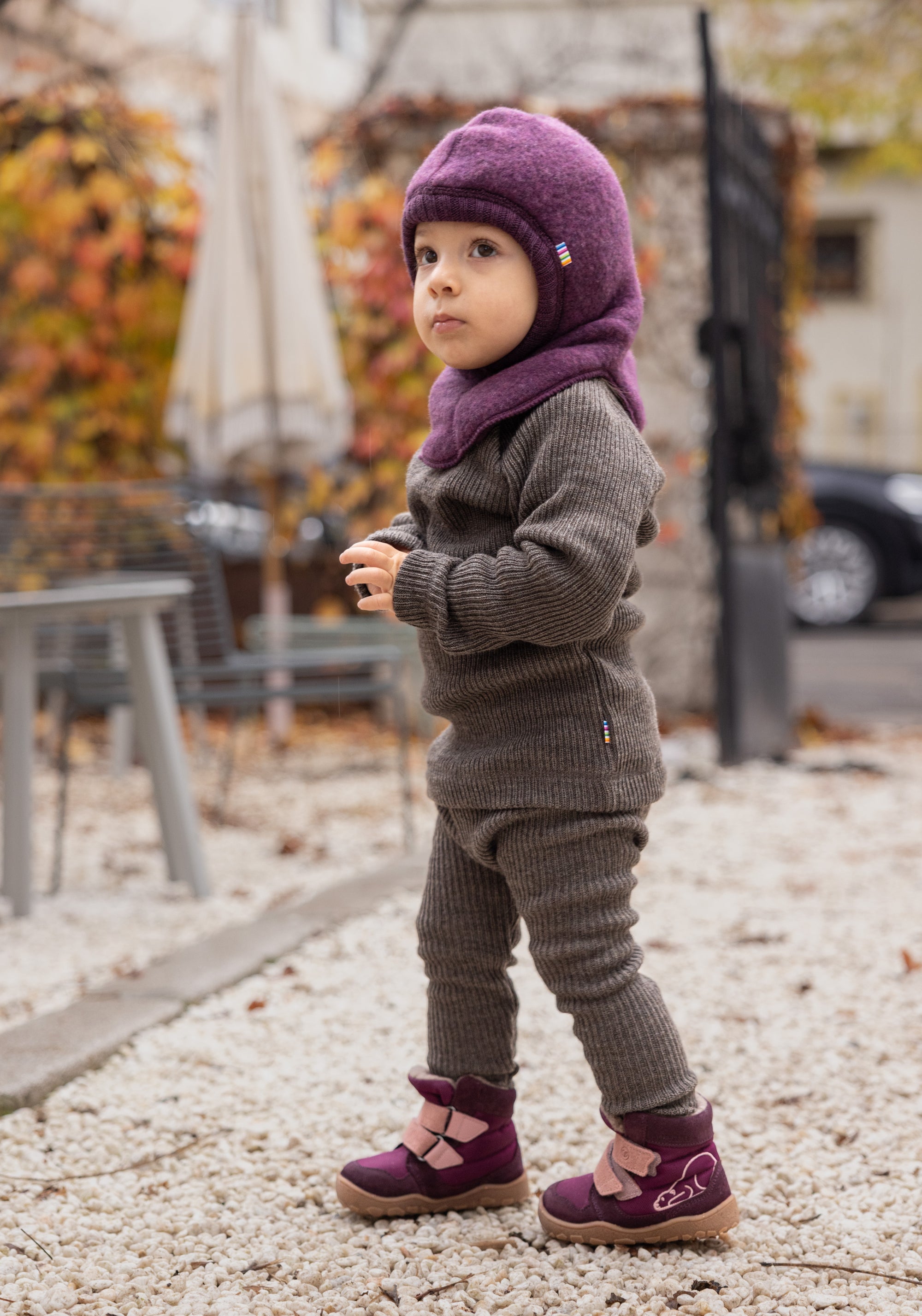 Pulover lână merinos - Rib Dark Brown