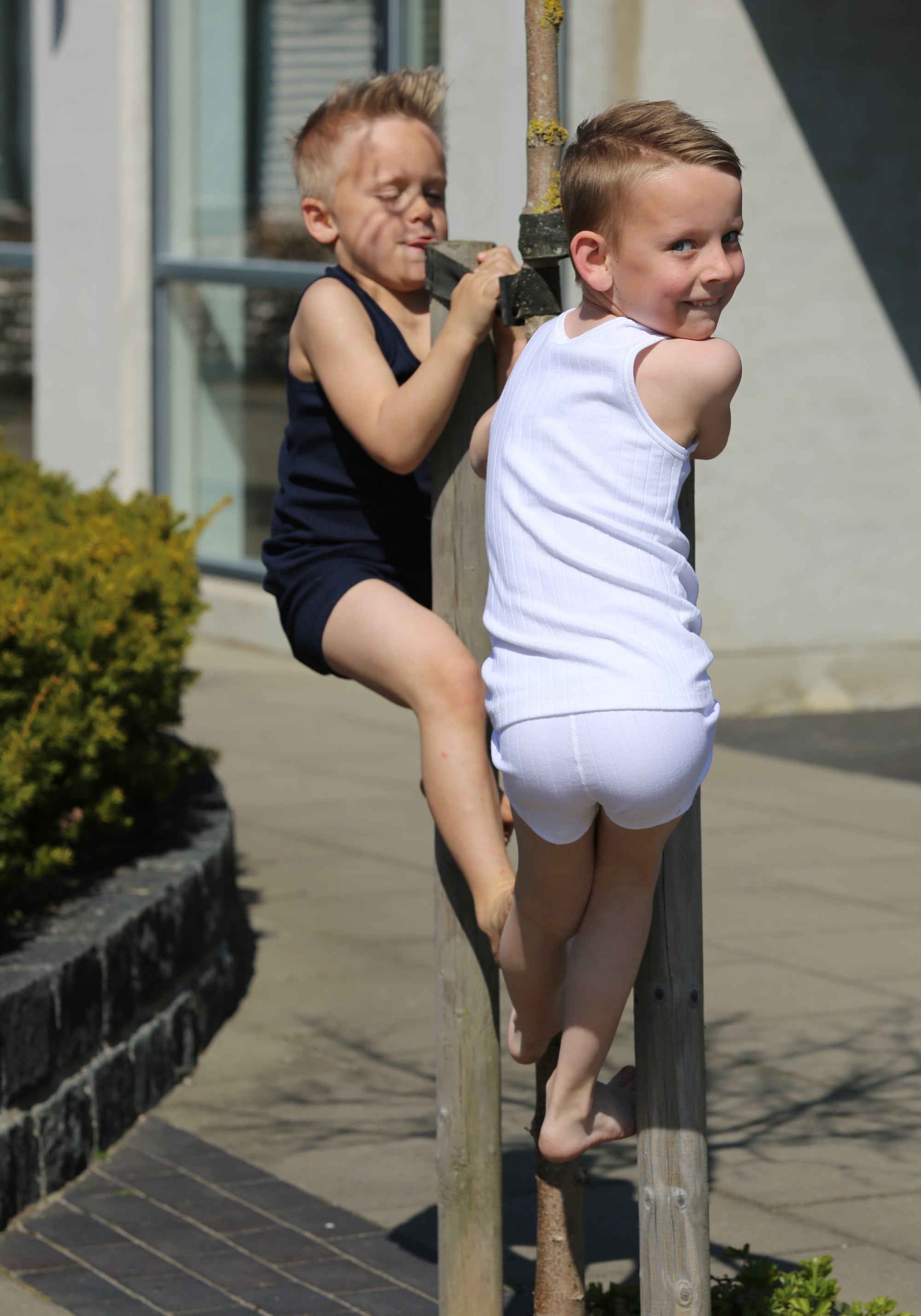 Maiou lână merinos - Basic White