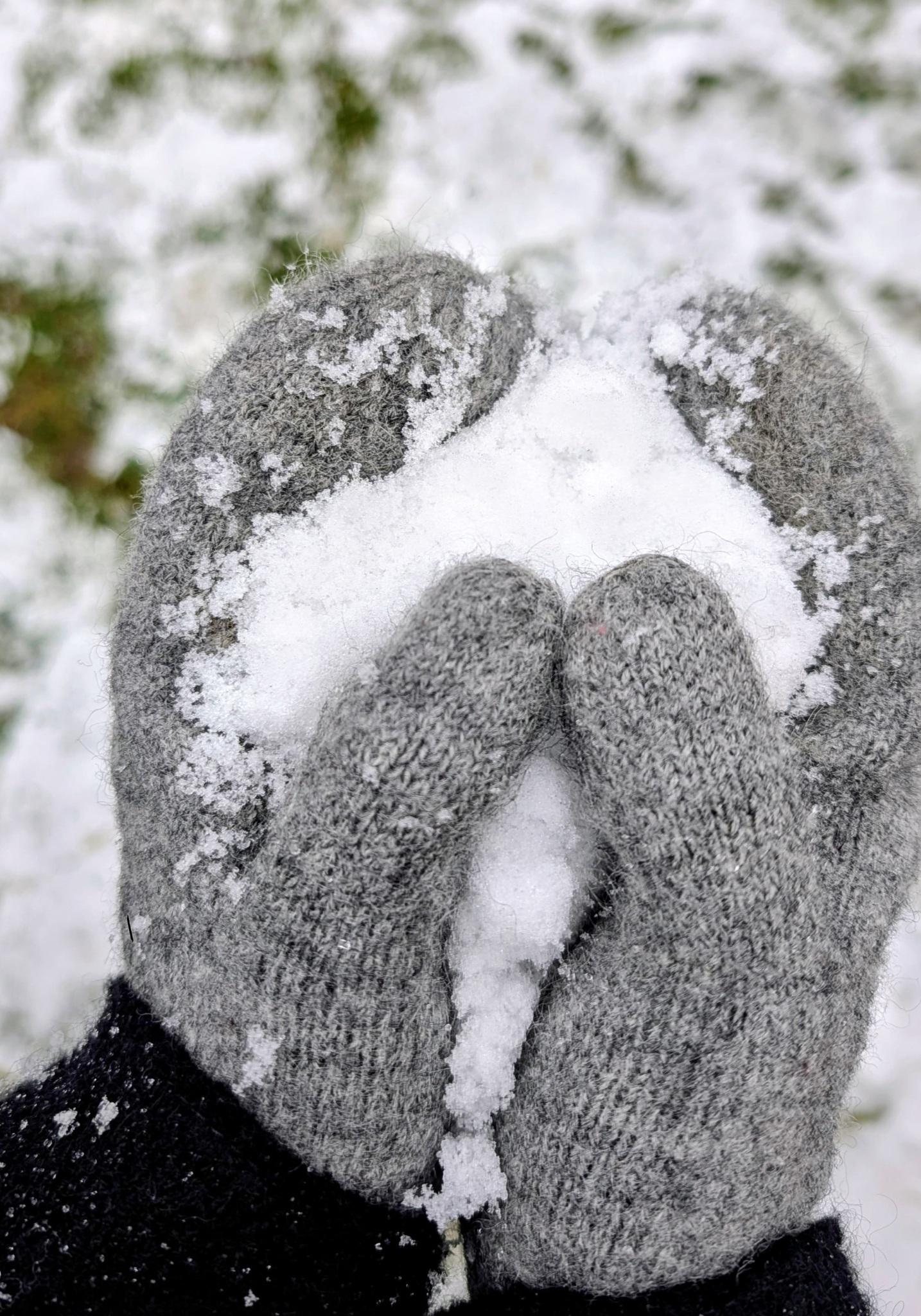 Mănuși adulți din lână fiartă - Grey Melange