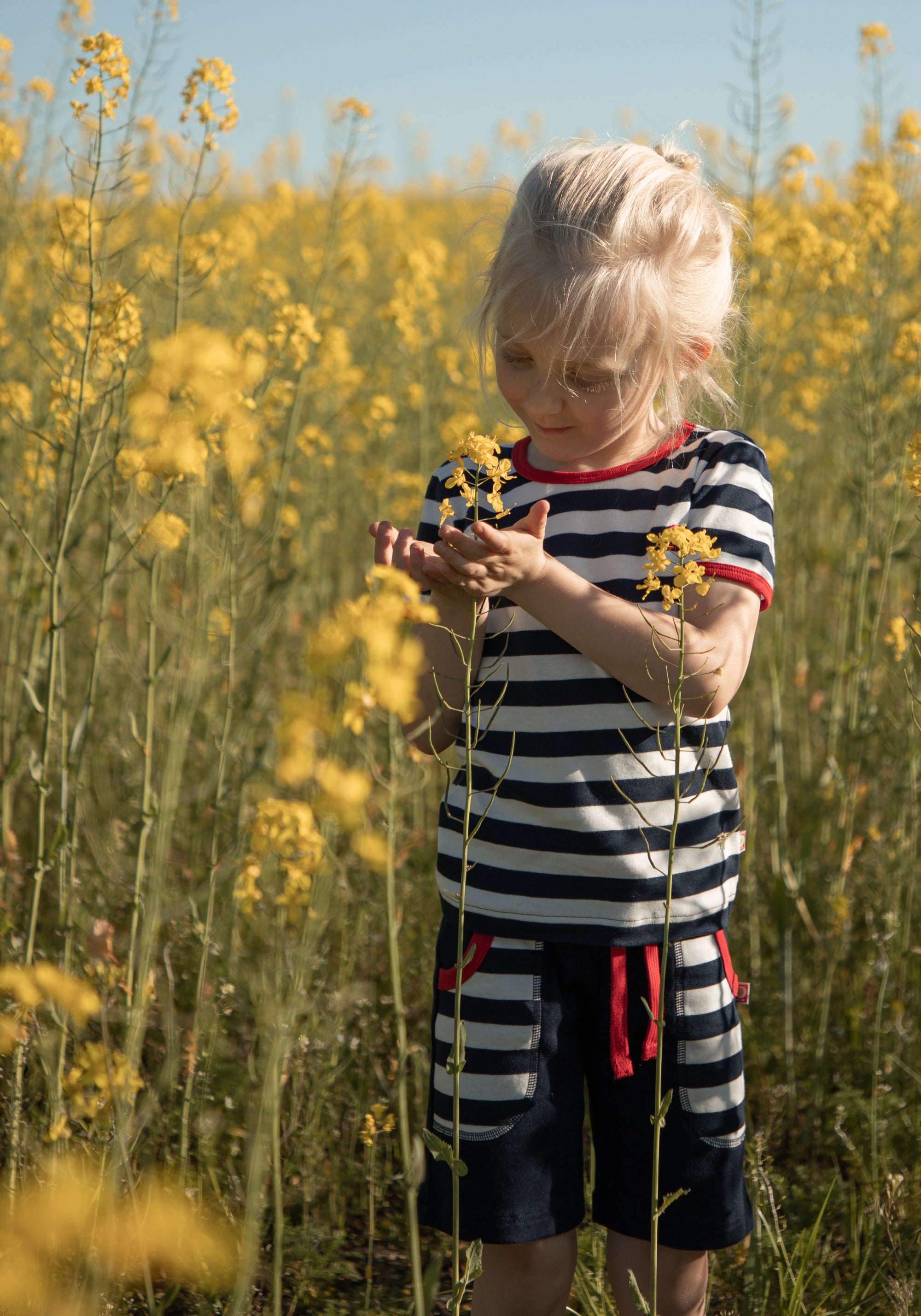 Tricou bumbac - Cottonwear Stripes