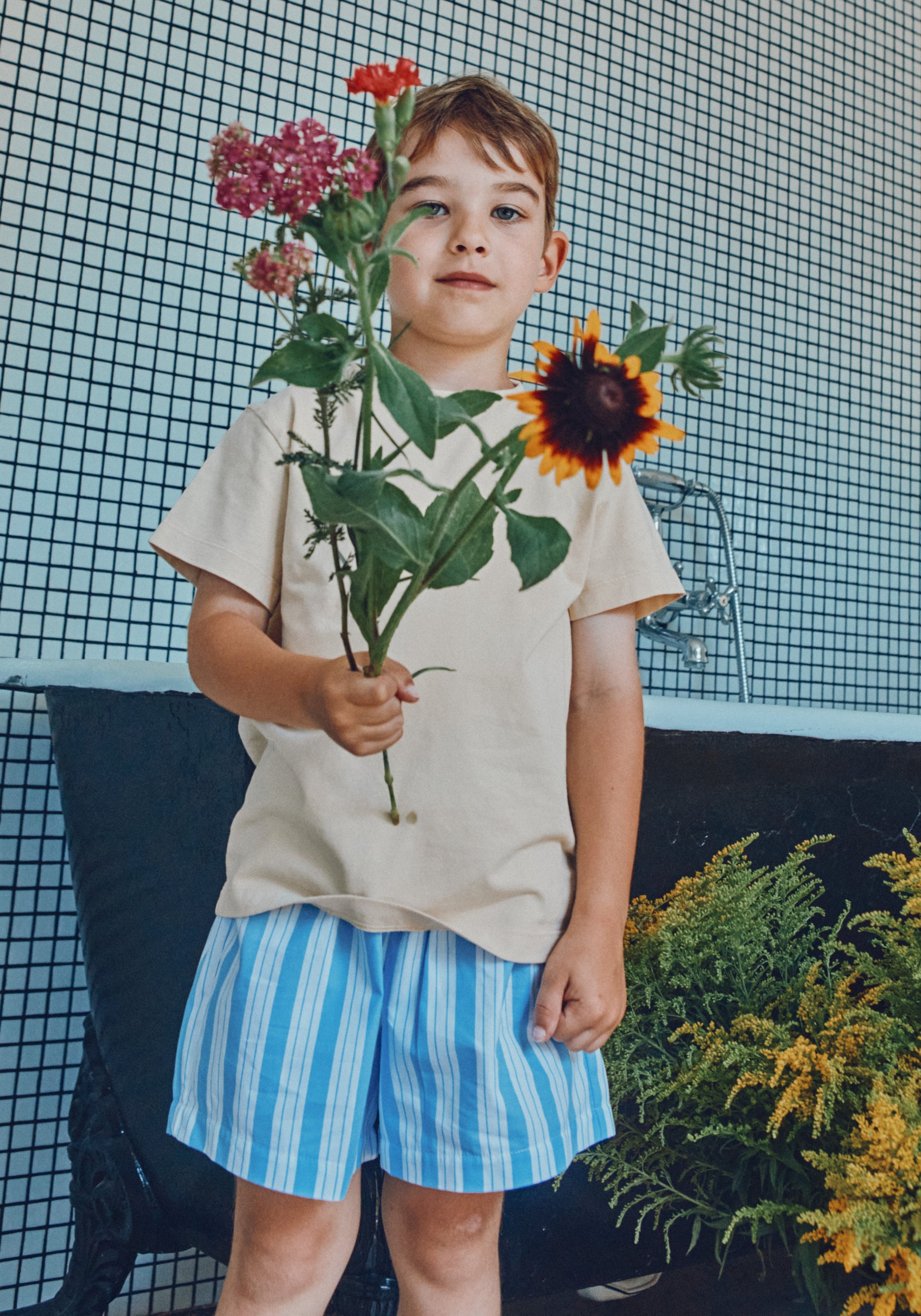Pantaloni scurți din bumbac - Gui Wide Blue/White Stripes