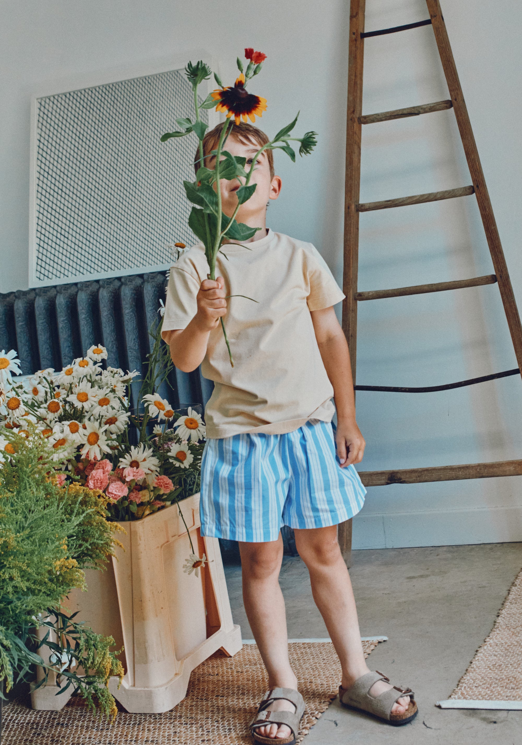 Pantaloni scurți din bumbac - Gui Wide Blue/White Stripes