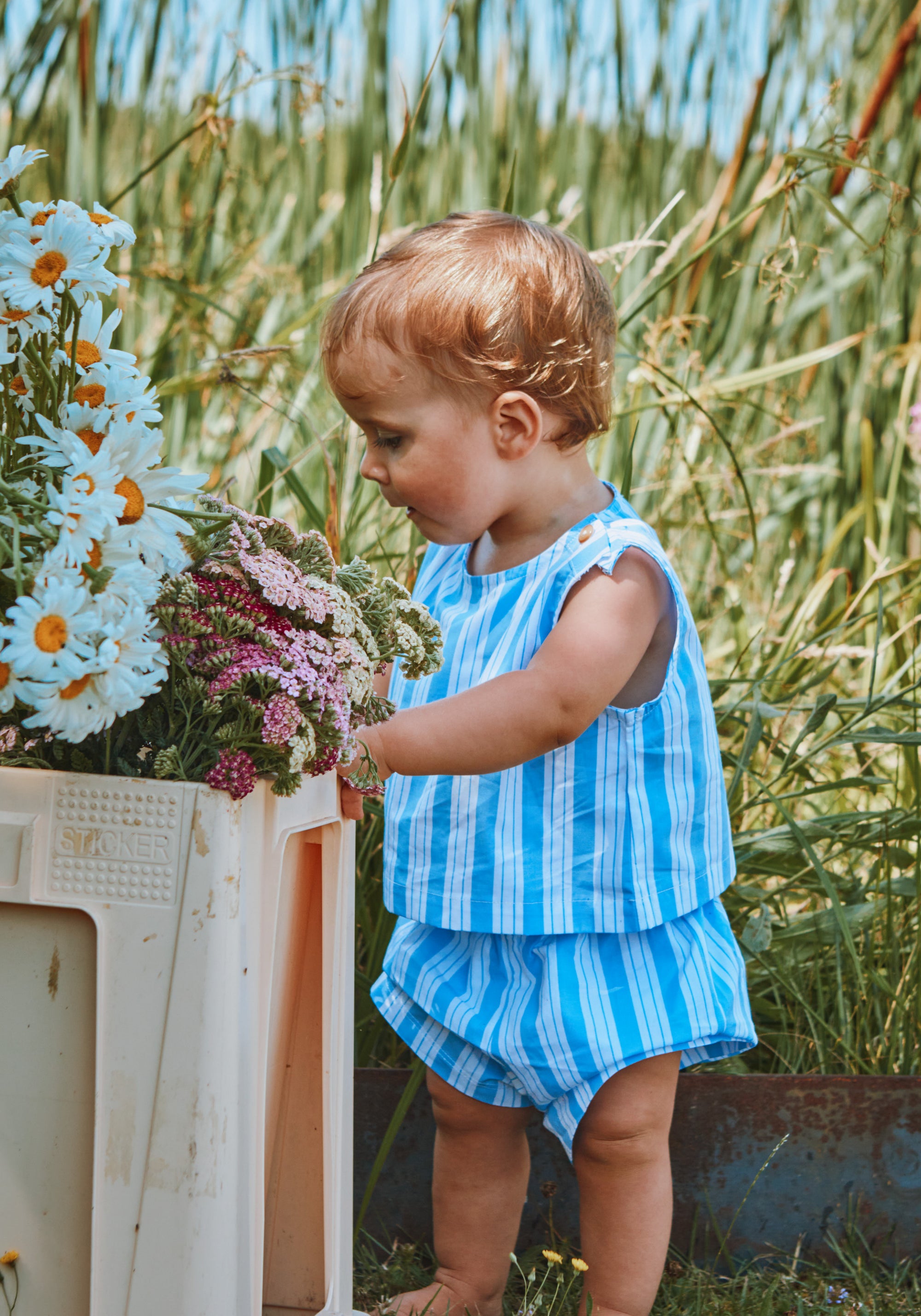 Pantaloni scurți din bumbac - Gui Wide Blue/White Stripes