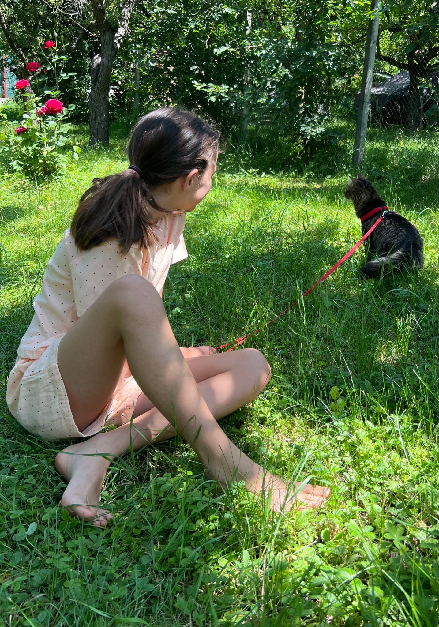 Tricou bumbac - Orgeat Points Bellini