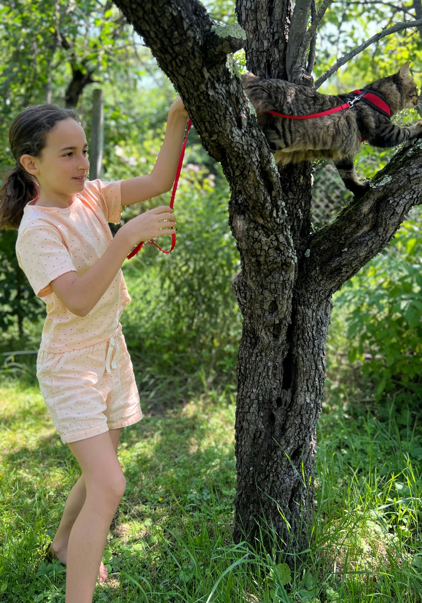 Pantaloni scurți din muselină dublă de bumbac - Hortensia Points Bellini