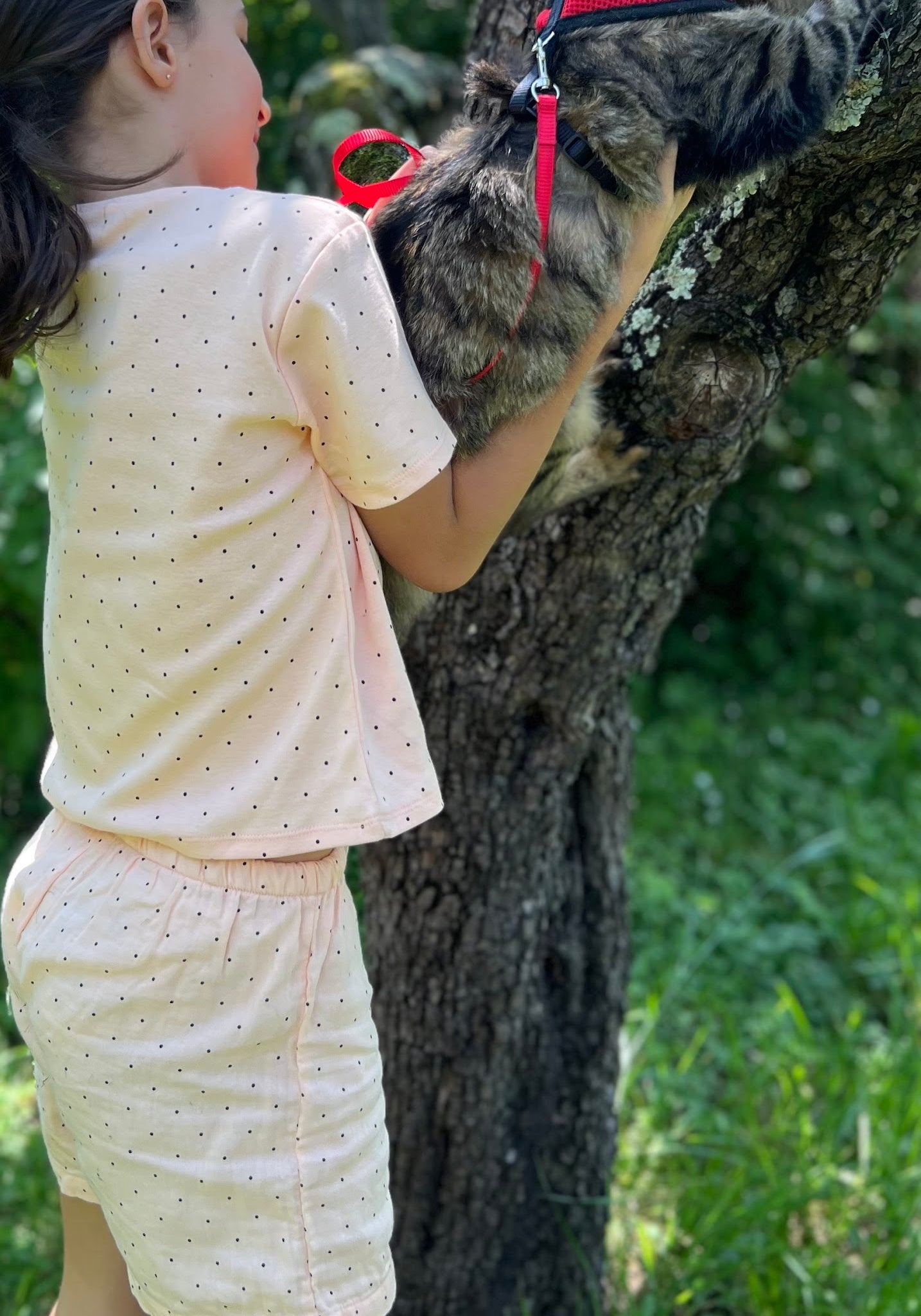 Pantaloni scurți din muselină dublă de bumbac - Hortensia Points Bellini