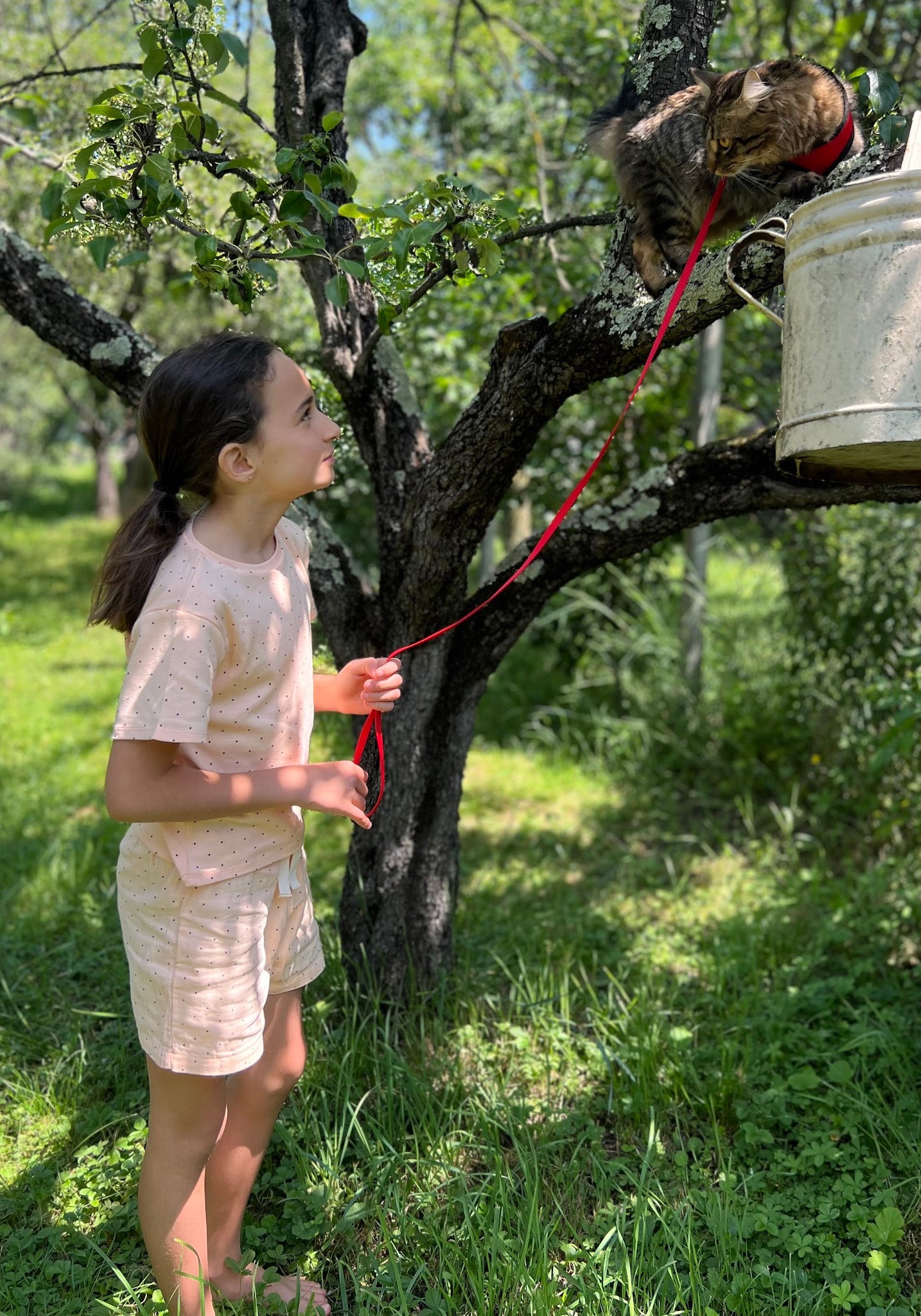 Pantaloni scurți din muselină dublă de bumbac - Hortensia Points Bellini