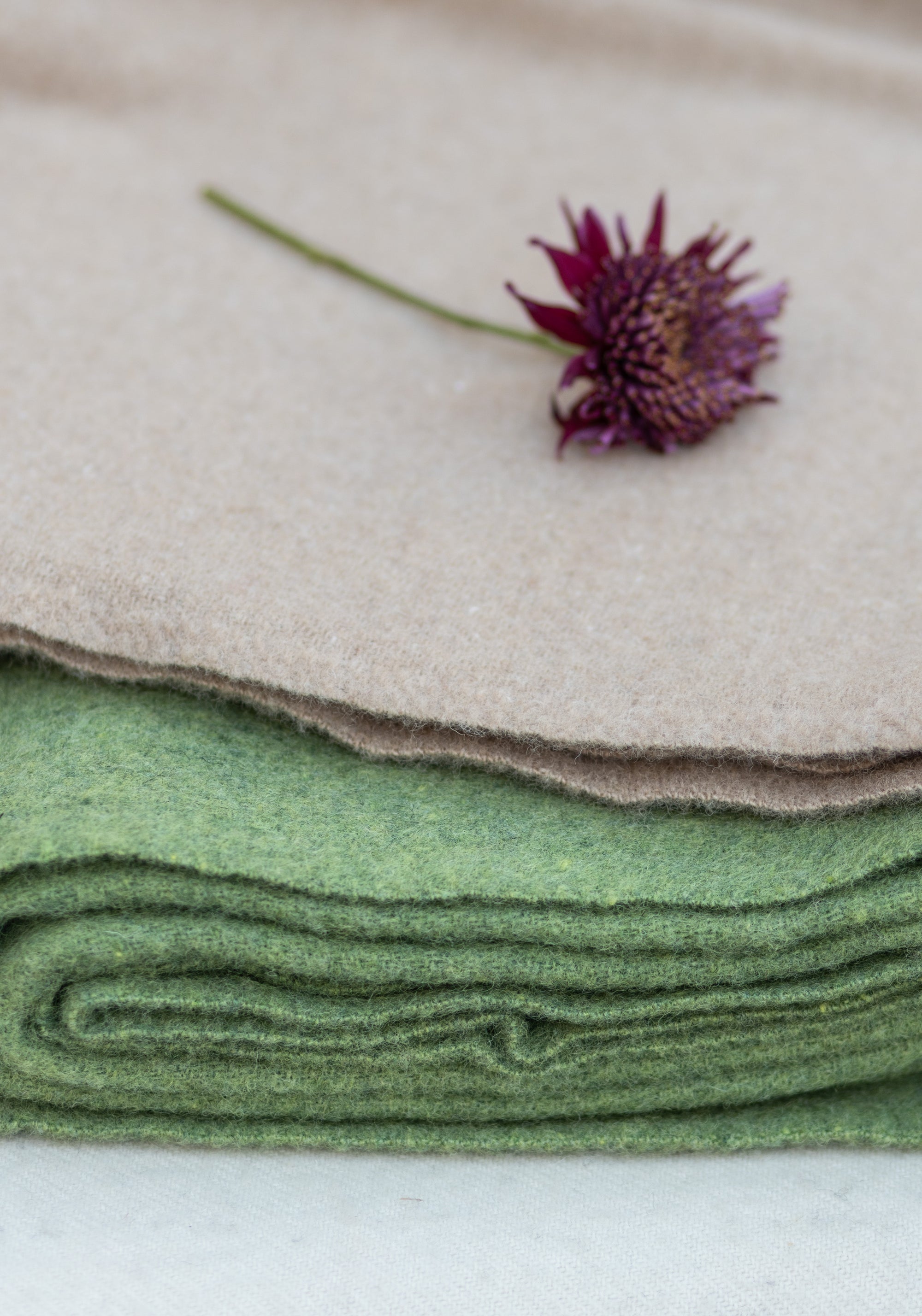 Pled din lână - True Cream