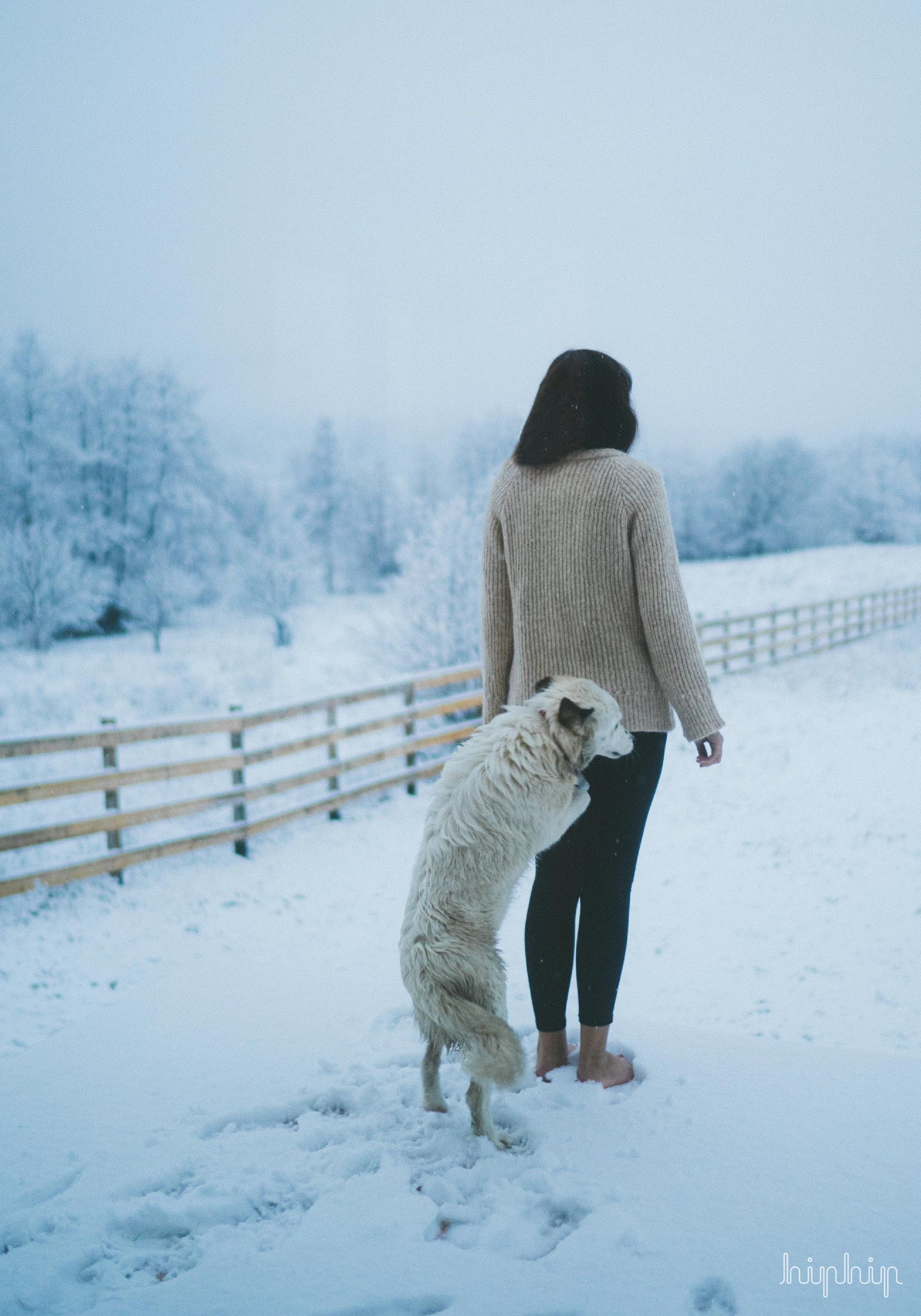 Pulover femei din alpaca și bumbac Pima - Diane Light Beige Les Racines du Ciel HipHip.ro