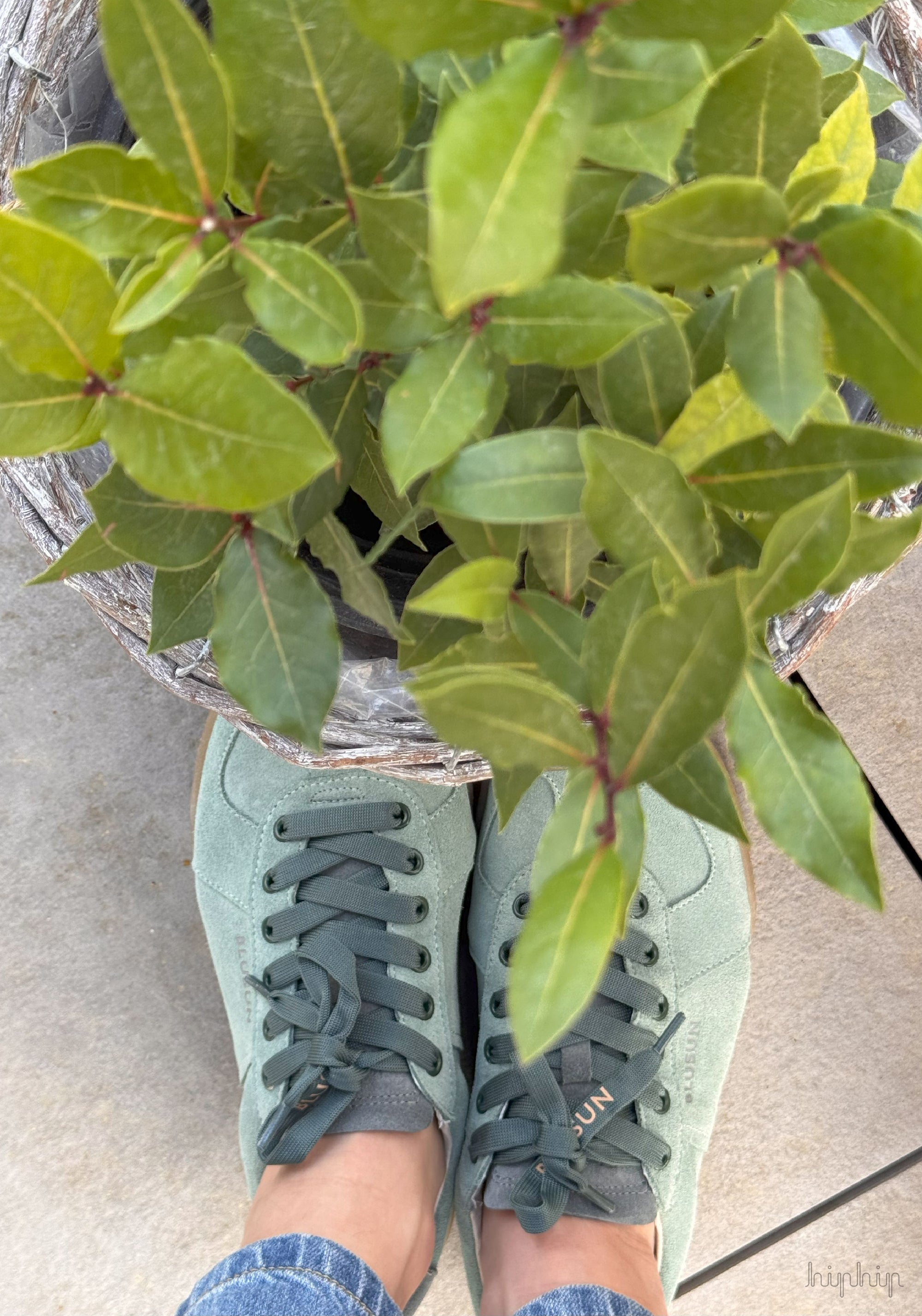 Sneakers Barefoot din piele întoarsă - BLSN-200W Green