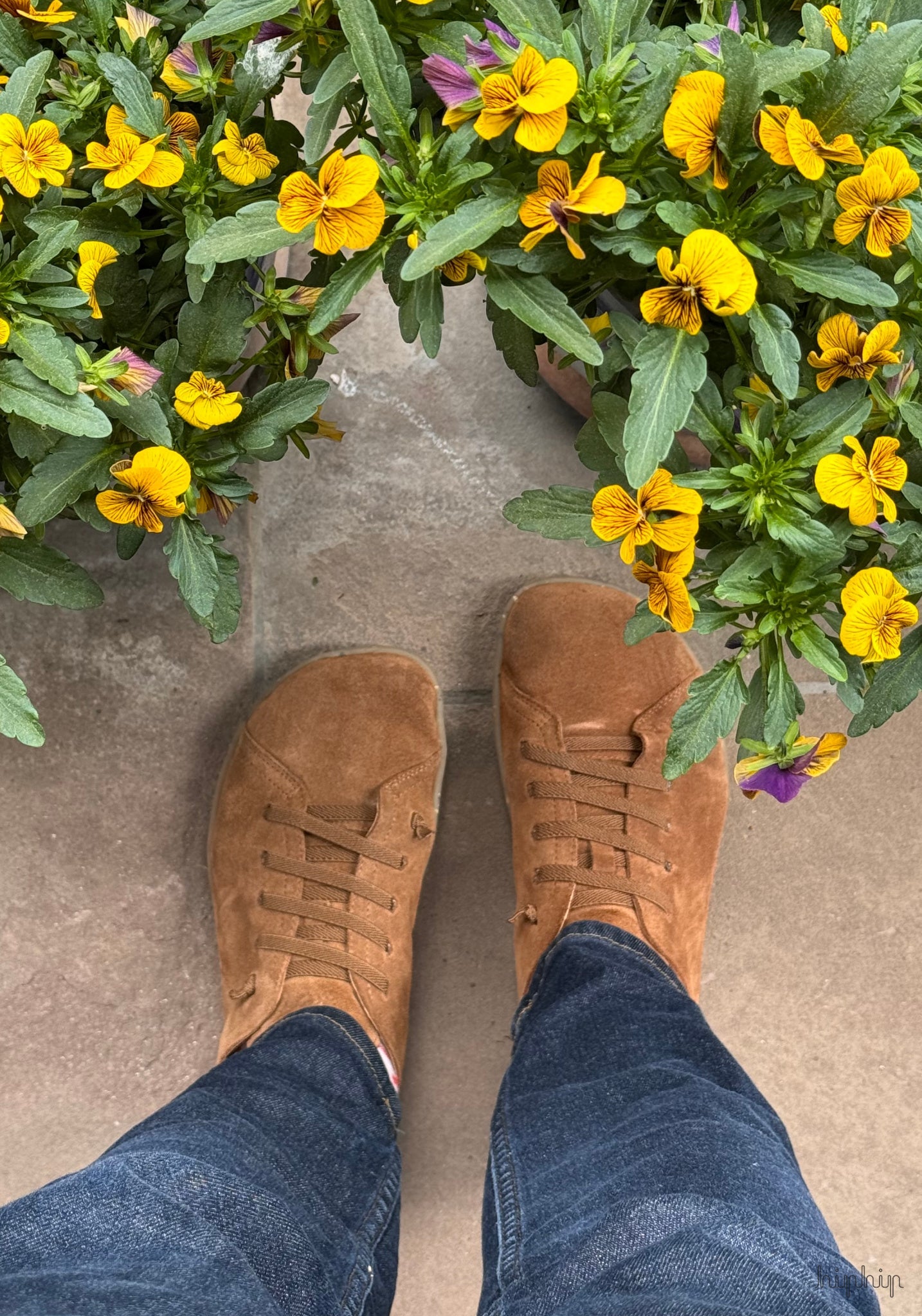 Sneakers Barefoot adulți din piele - Izzie Cognac Koel HipHip.ro