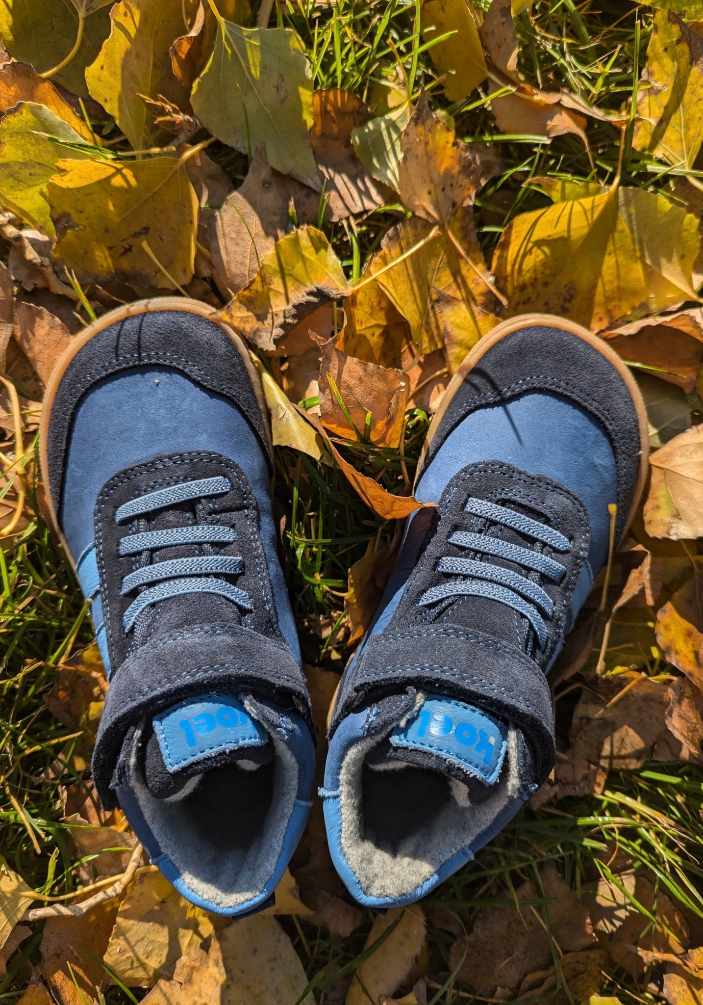 Sneakers Barefoot impermeabili îmblăniți - Devo Blue Koel HipHip.ro