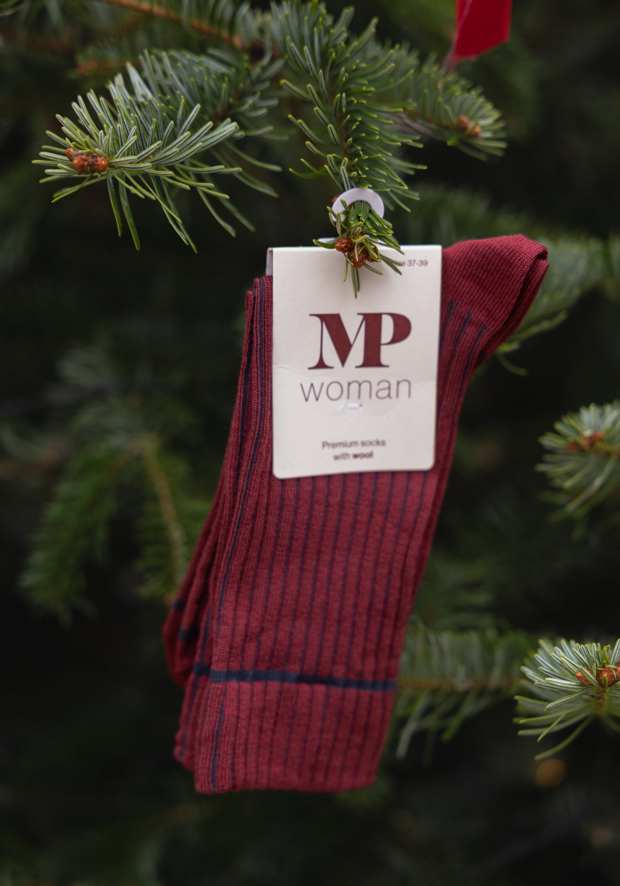 Șosete extrafine femei din lână merinos și bumbac - Magny Wine Red