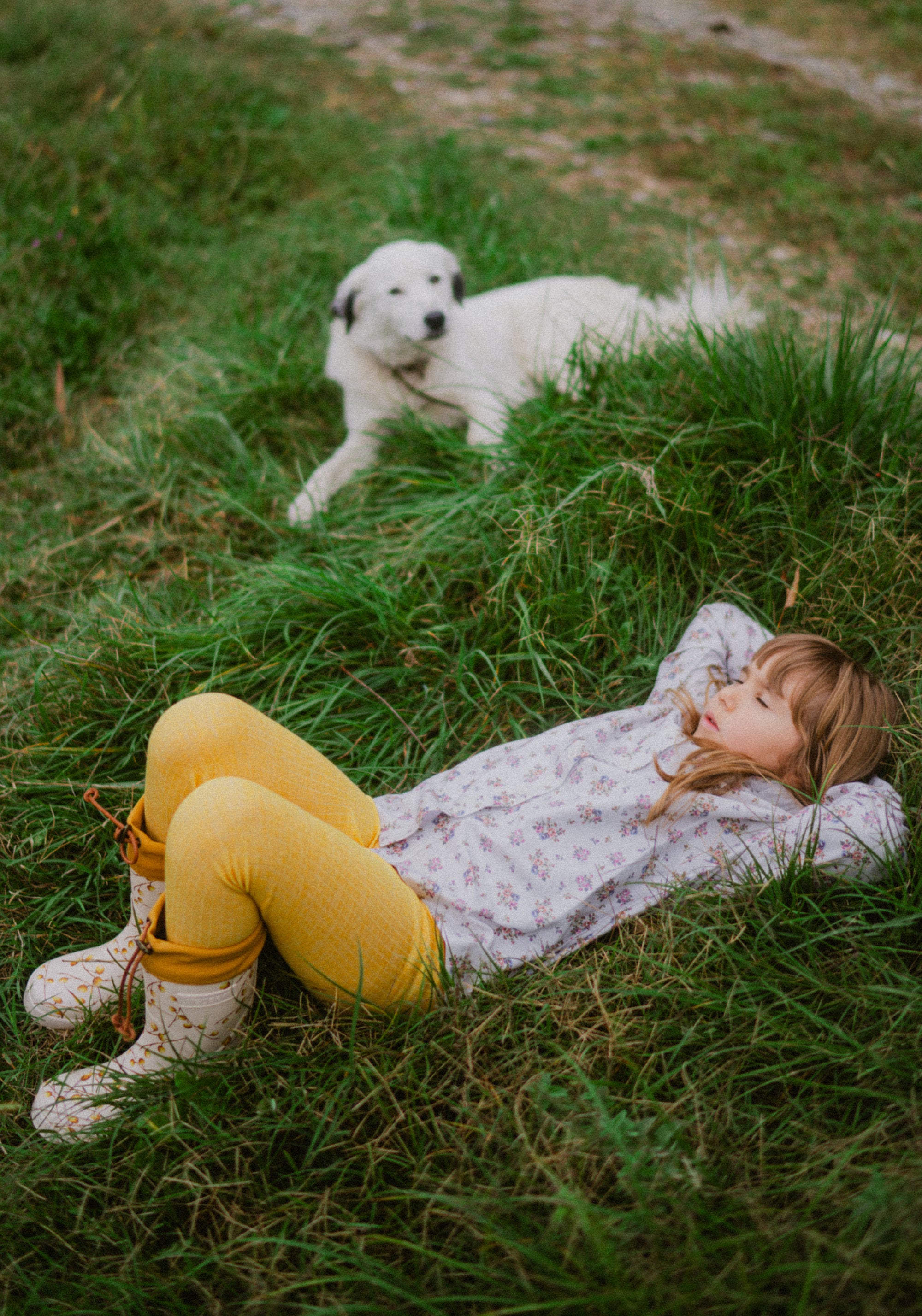 Colanți seamless din lână, mătase și bumbac - Yellow Melange