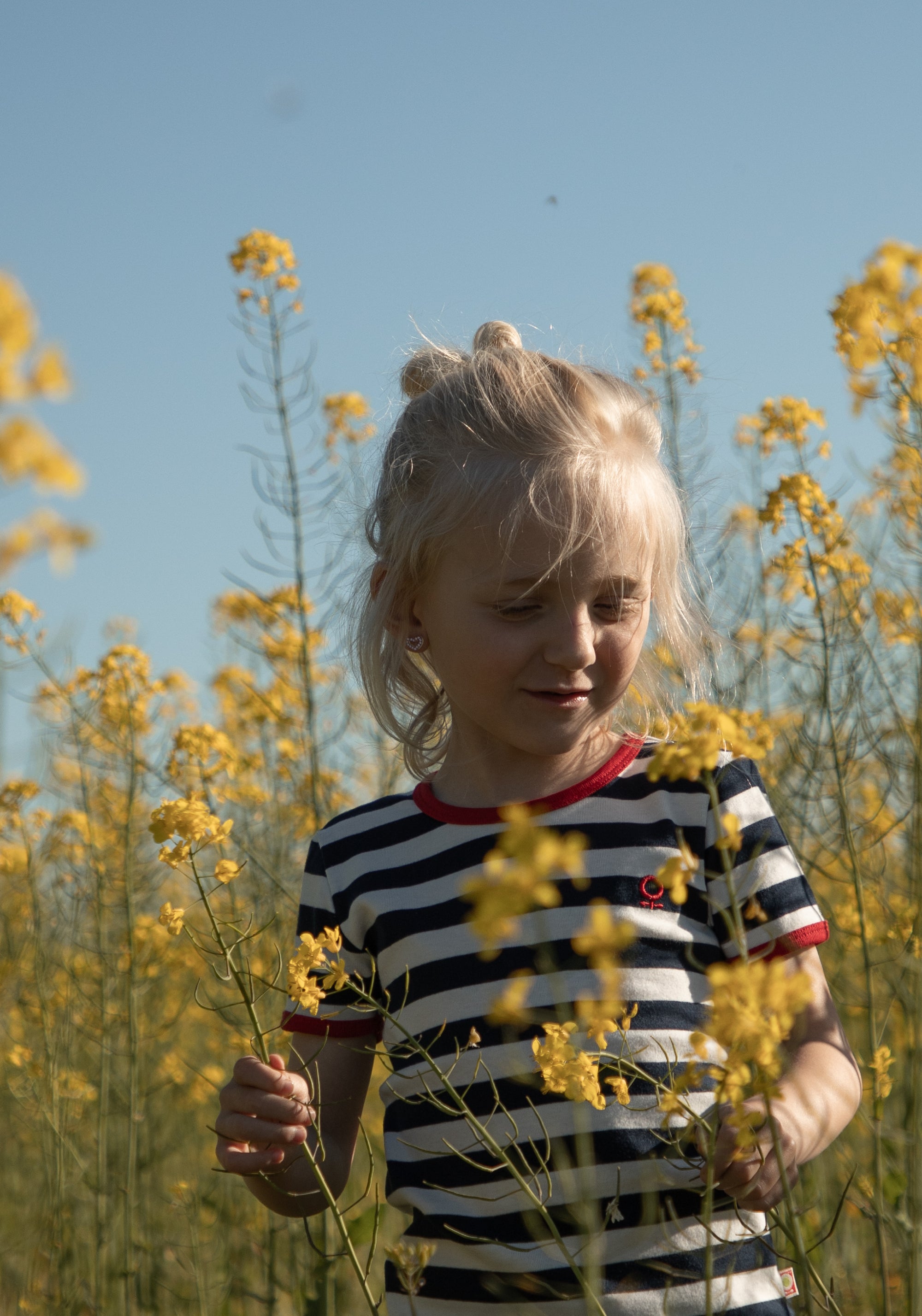 Tricou bumbac - Cottonwear Stripes