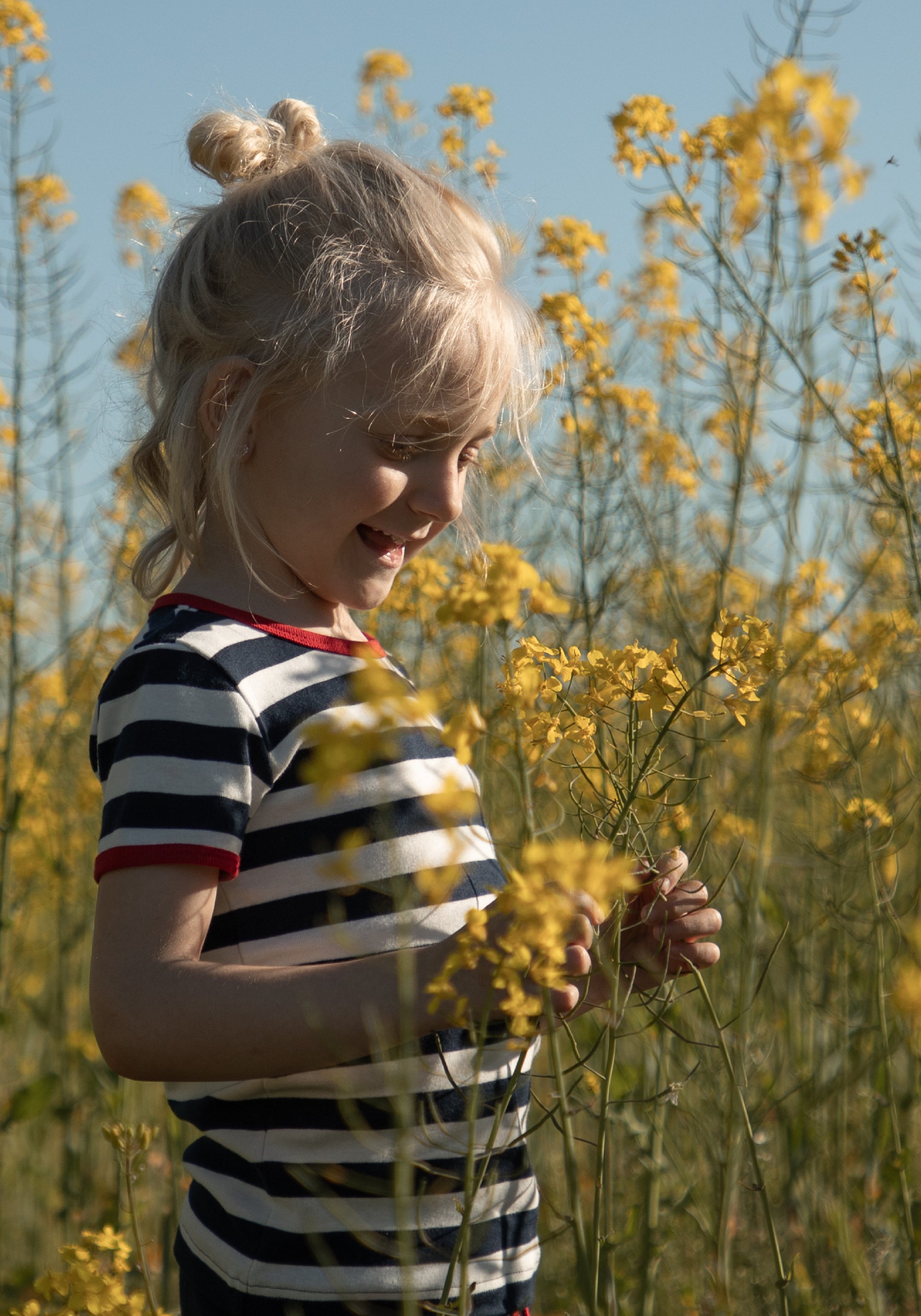 Tricou bumbac - Cottonwear Stripes