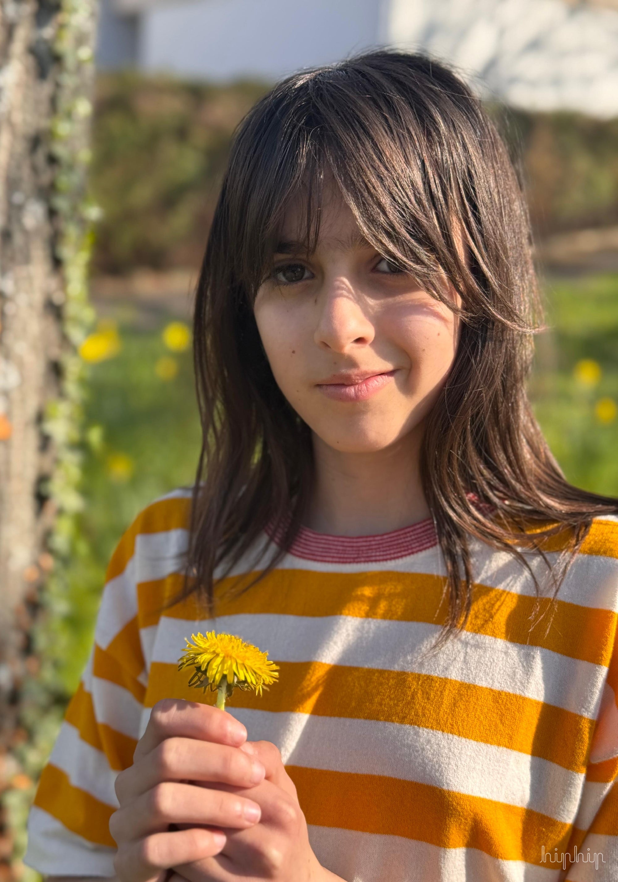 Tricou bumbac - Extrafin Stripe Ecru/Sunflower