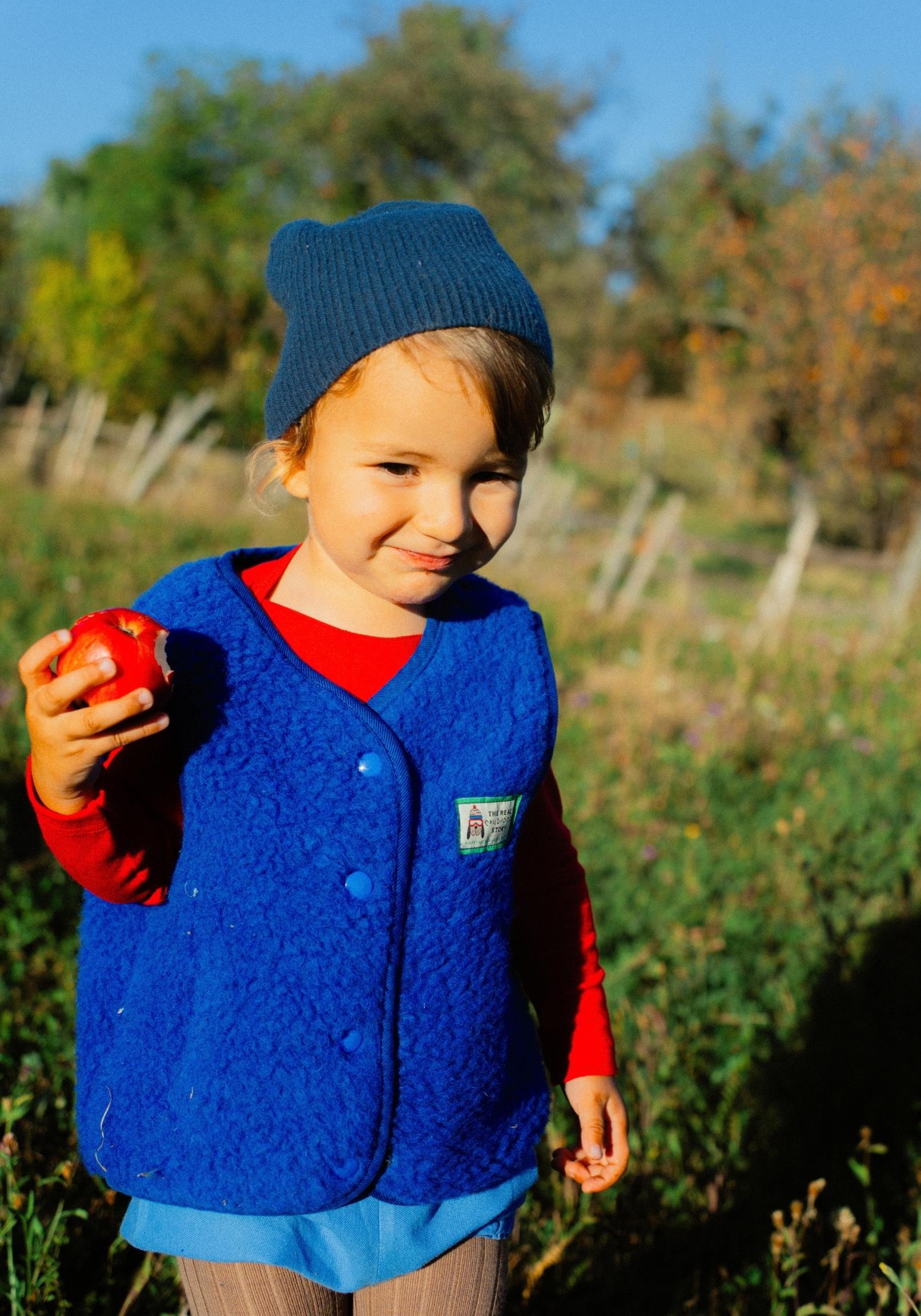 Vestă fleece din lână merinos - Teddy Cobalt
