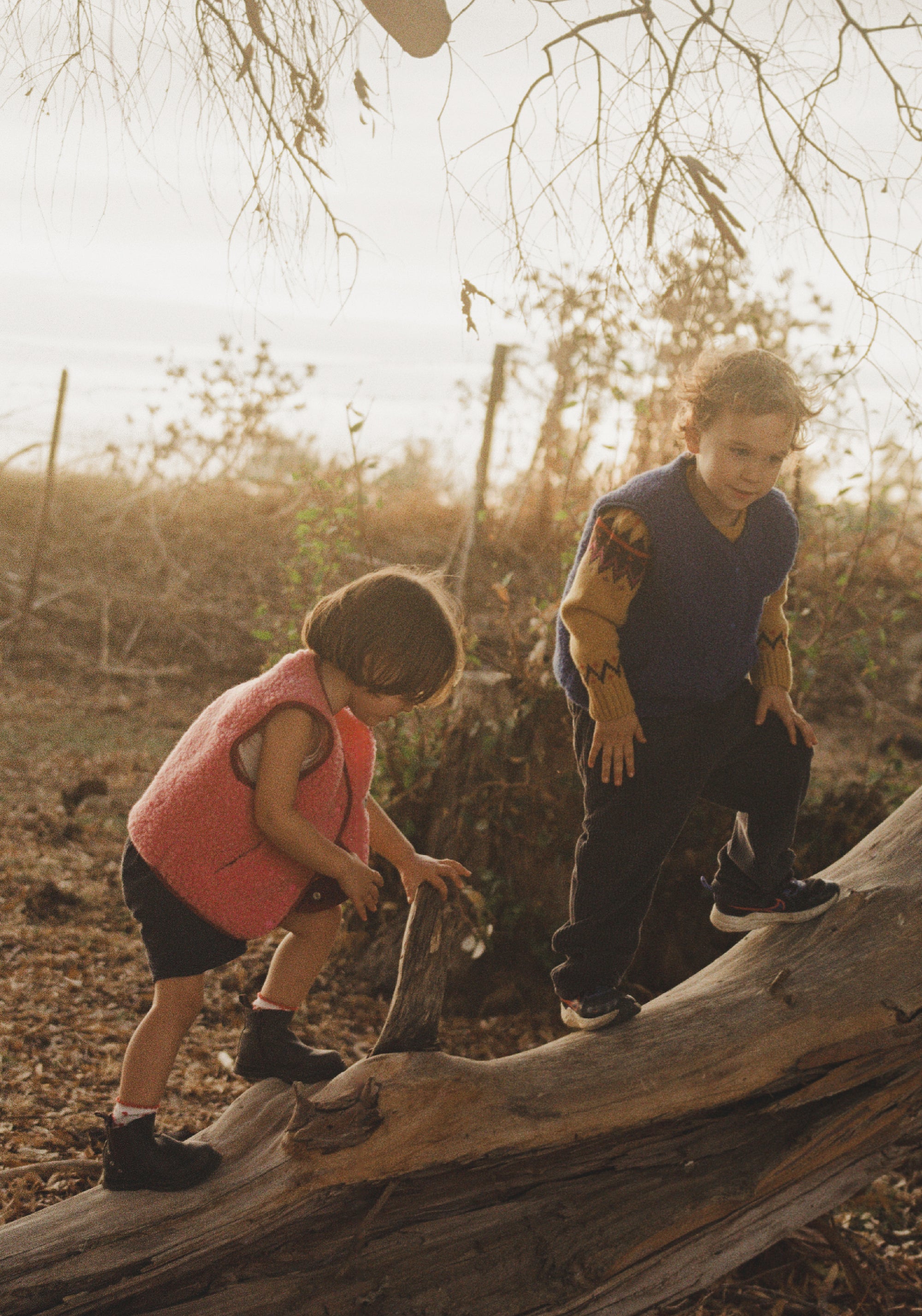 Vestă fleece din lână merinos - Teddy Dusty Pink