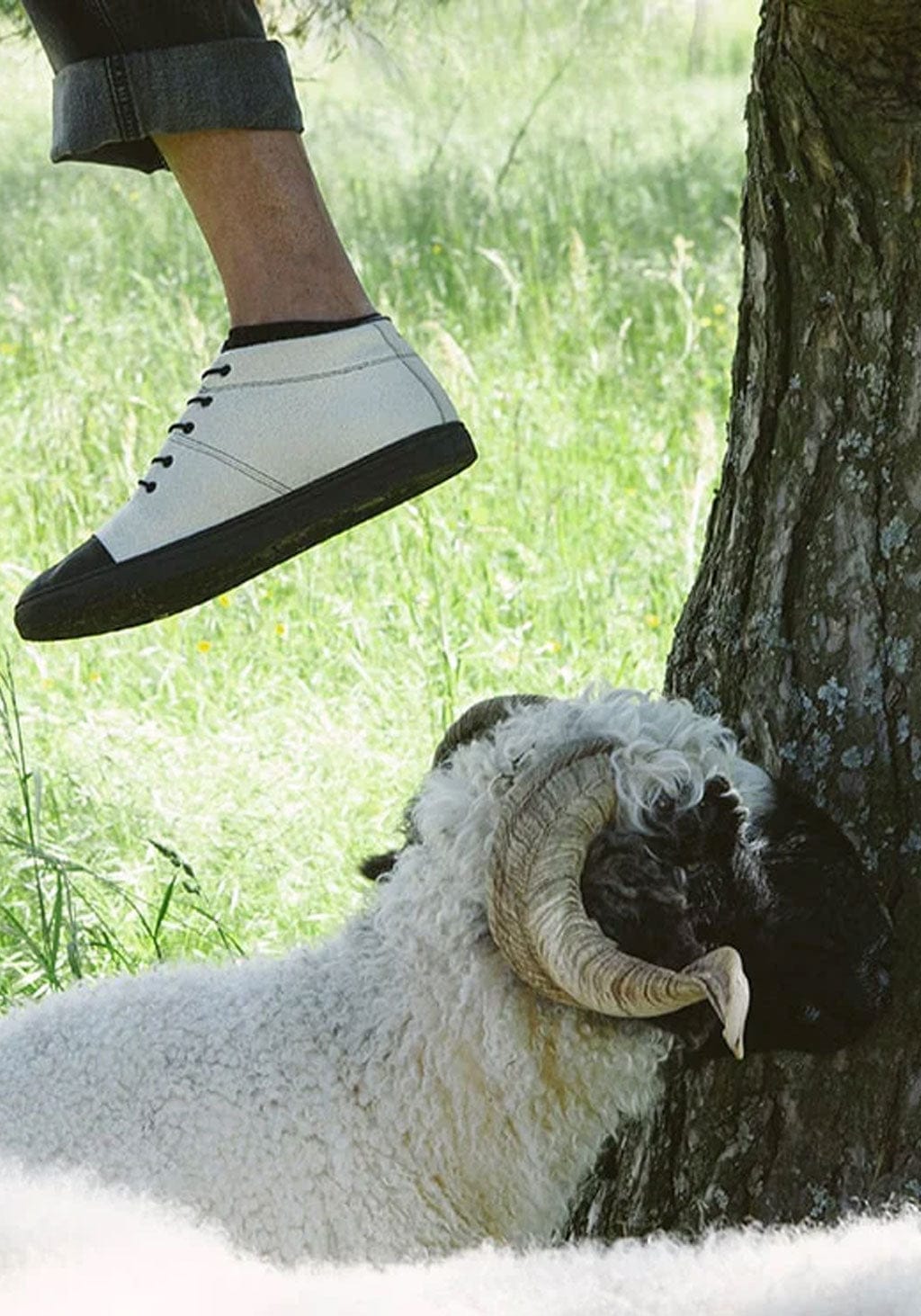 Sneakers lână - Sky Wooler Blacknose Baabuk HipHip.ro